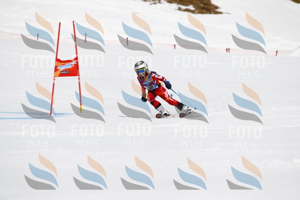 _U3G5151 | holidayphoto