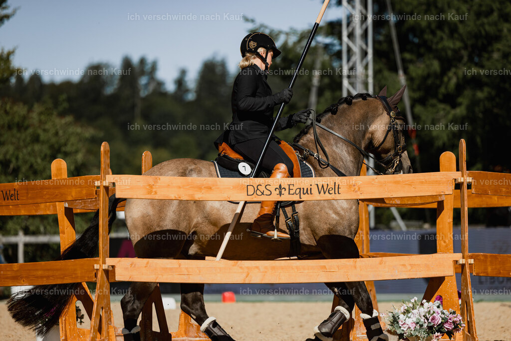 Katja7_FHC2025-27489 | working equitationturnier fotograf videograf stoibphotography marixx film working equitation deutschland reitsport turnierfotografie eventfotografie equestrian events