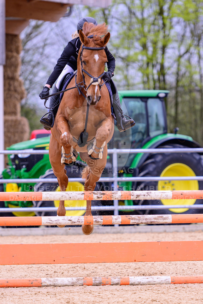 12042026-Mammendorf-Prfg39-0269 | Fokus Hufschlag Fotografie - Realisiert mit Pictrs.com