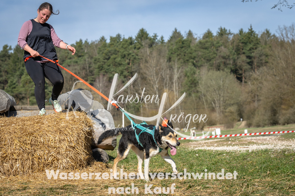 1021_ZZ90934 | kk-dogfotos