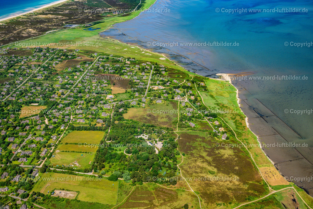 Sylt_Kampen_ELS_6302210625 | KAMPEN (SYLT) 13.06.2025 Ortsansicht an der Meeres-Küste in Kampen (Sylt) auf der Insel Sylt im Bundesland Schleswig-Holstein, Deutschland. // Townscape on the seacoast in Kampen (Sylt) at the island Sylt in the state Schleswig-Holstein, Germany. Foto: Martin Elsen