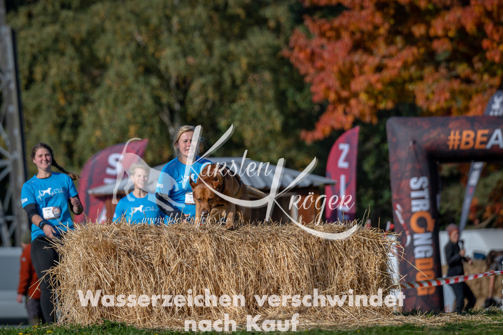 1049_ZZ91571 | kk-dogfotos