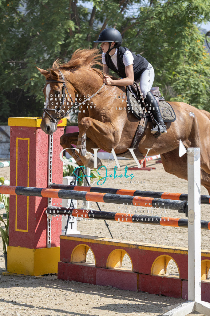 IMG_3870 | s-jay-photography - Realisiert mit Pictrs.com