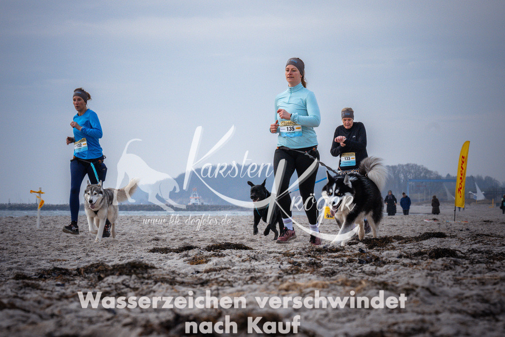 1038_ZZ95756 | kk-dogfotos