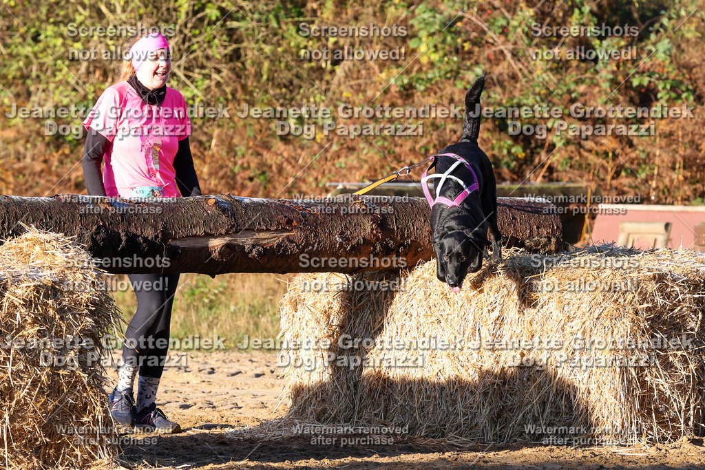 Dog Paparazzi - Strongdog 10-25-836 | Dog Paparazzi Jeanette Grottendiek Fotografie & Videografie - Realisiert mit Pictrs.com