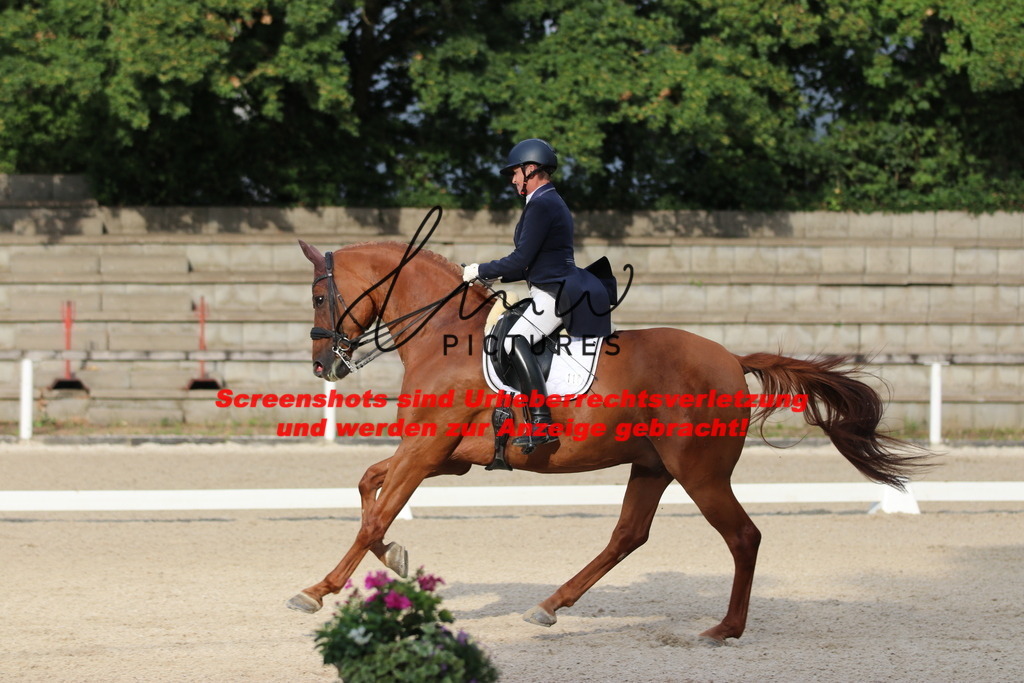 IMG_6023 | lmwpictures - Realisiert mit Pictrs.com