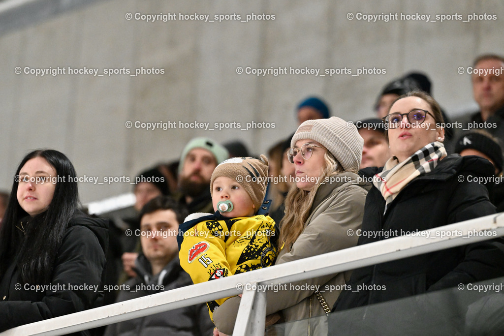 EC Hornets Spittal vs. USC Piraten Velden 18.2.2024 | Besucher Eishalle Spittal an der Drau, EC Hornets Spittal vs. USC Piraten Velden 18.2.2024, EC Hornets Spittal vs. USC Piraten Velden 18.2.2024 am 18.02.2024 in Spittal an der Drau (Eissportzentrum Spittal), Austria, (Photo by Bernd Stefan)