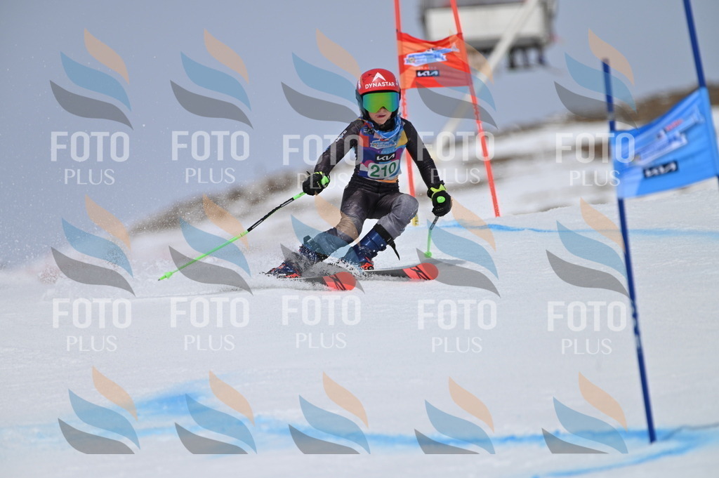 BGV_4057 | holidayphoto