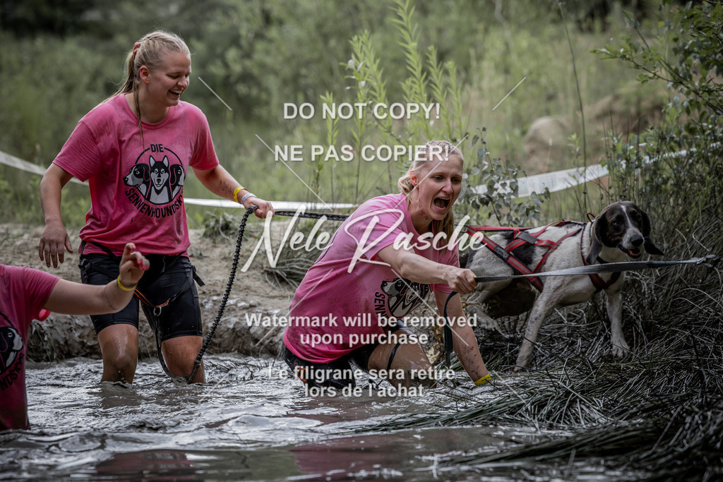 nelerasche_so1230-1300_06 | nelerasche