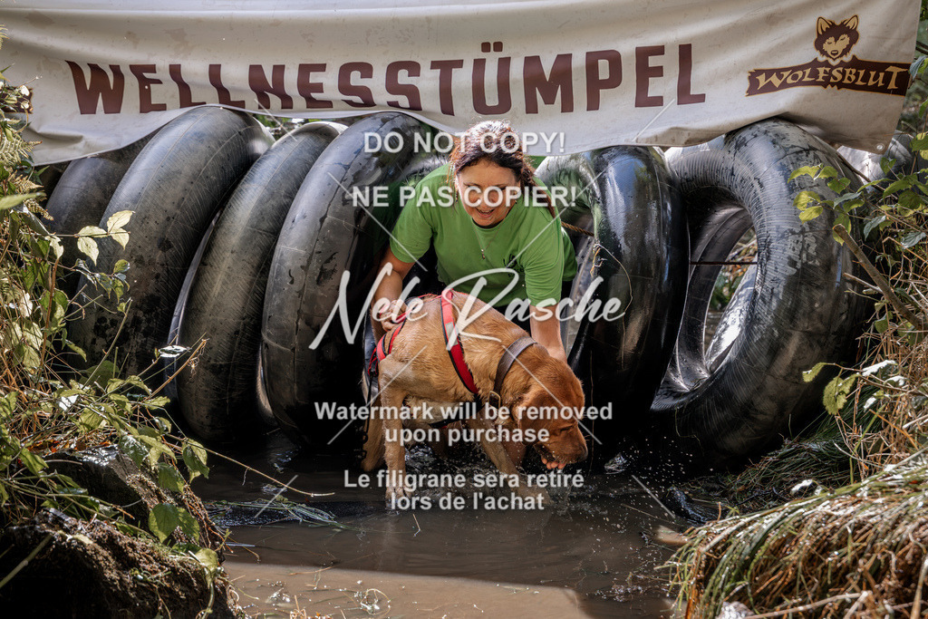 nelerasche_Hunsrück2026_Sa1400-1500_34 | nelerasche