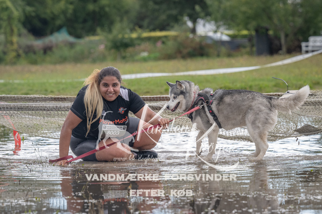 1434_ZZ90281 | kk-dogfotos
