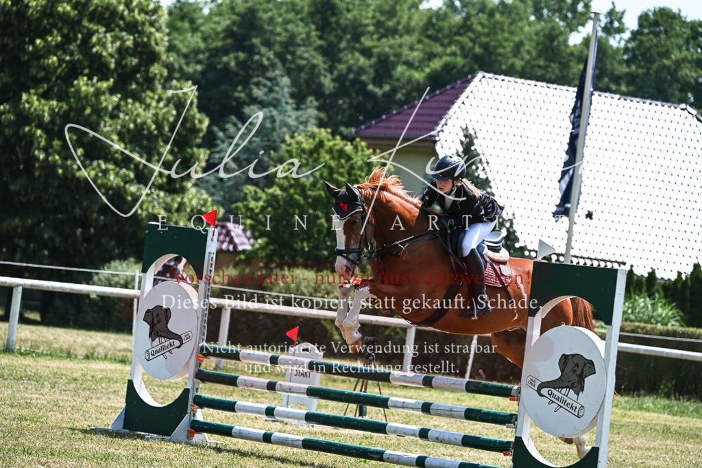 DSC_0008 | Pferde- und Turnierfotografie in Westsachsen. Pferdeportraits, Auftragszeichnungen und intuitive Kunst.