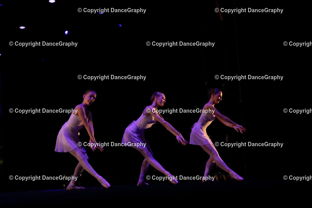 GPHY4055 | DanceGraphy - Realisiert mit Pictrs.com