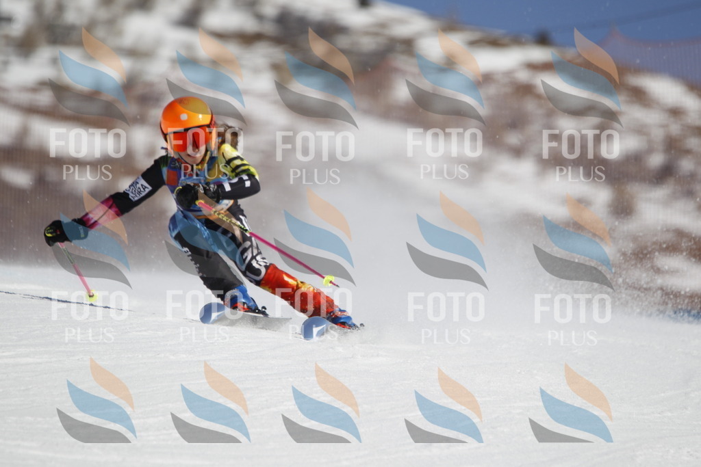 _U3G9014 | holidayphoto