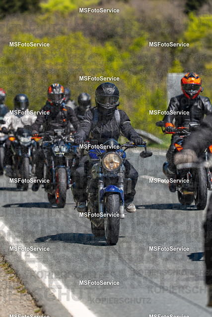 MSFotoServiceXXX179 | MSFotoService - Realisiert mit Pictrs.com