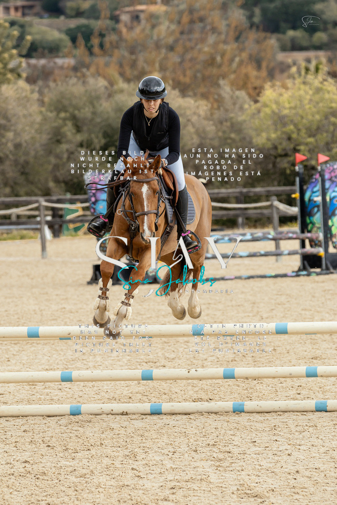 IMG_4609 | s-jay-photography - Realisiert mit Pictrs.com