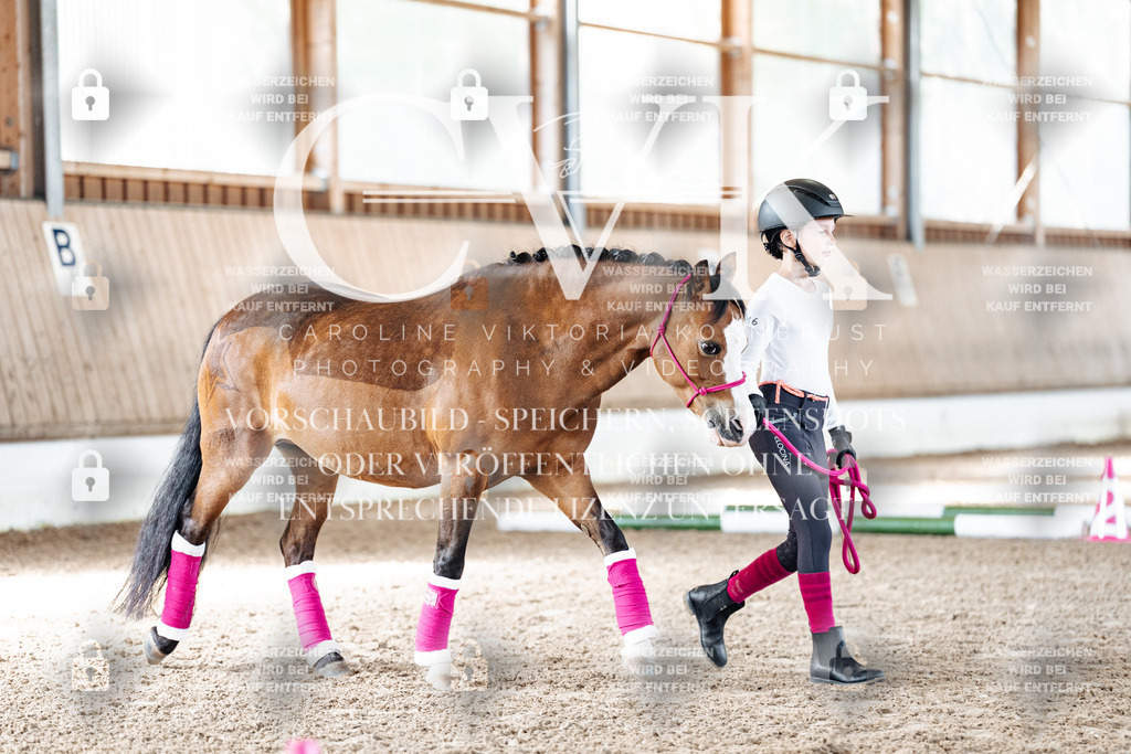 CK905509 | Turnierfotografie Pferdefotografie Trier Rheinland-Pfalz Pferdesport Reitsport Tierfotografie Sportfotografie Pferdevideo Pferdevideografie Equestrianvideography equestrianphotography  - Realisiert mit Pictrs.com