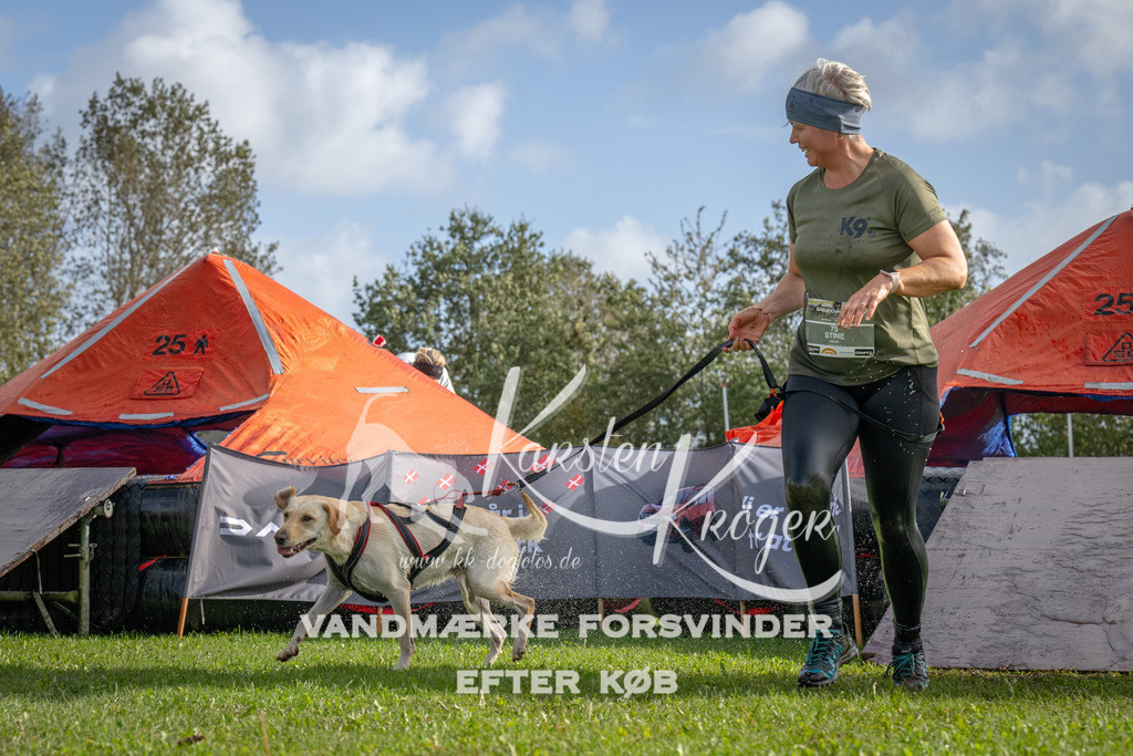 1211-92740 | kk-dogfotos