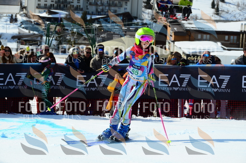 DSC_0562 | holidayphoto