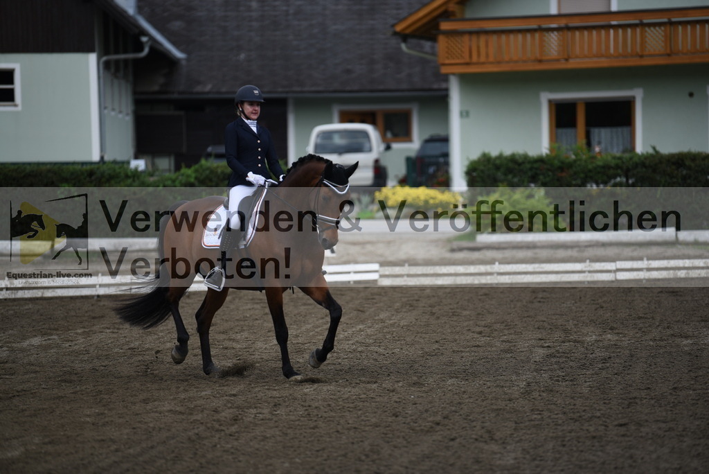 DSC_4177 | equestrian-live-com