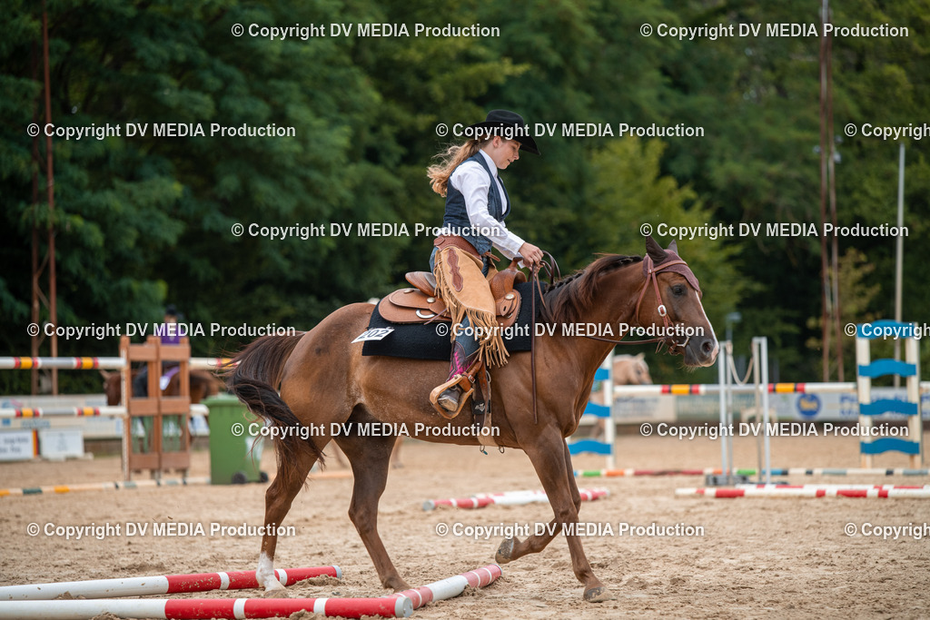 ZS2_8123 | dv-media-shop - Realisiert mit Pictrs.com