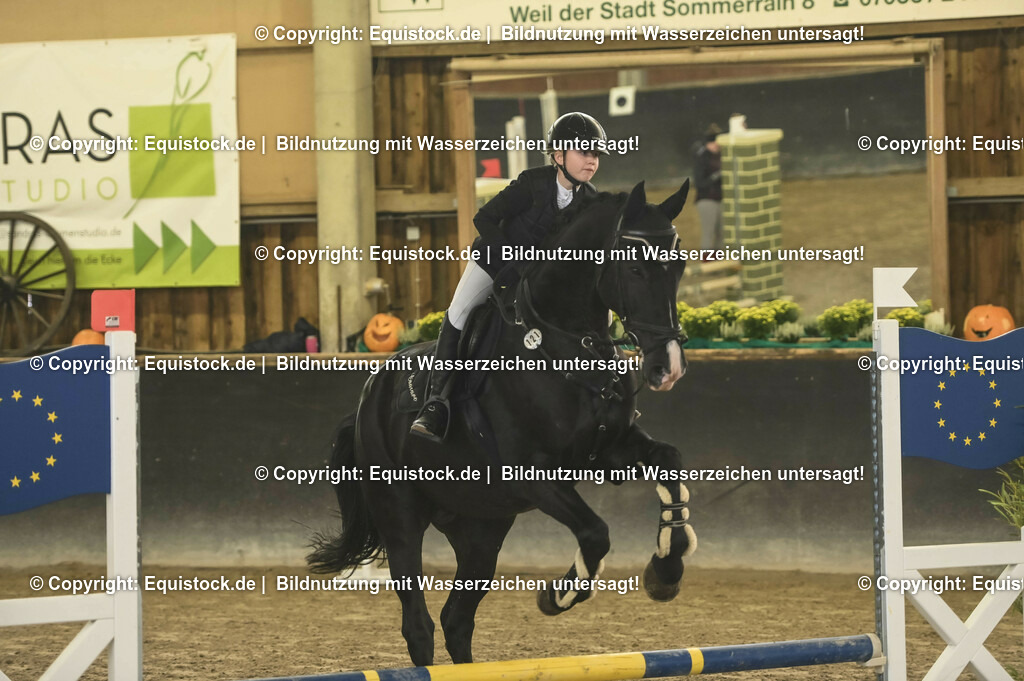 20231029_07_Stilspring-WB-50cm_0022 | Foto: Thomas Hartig