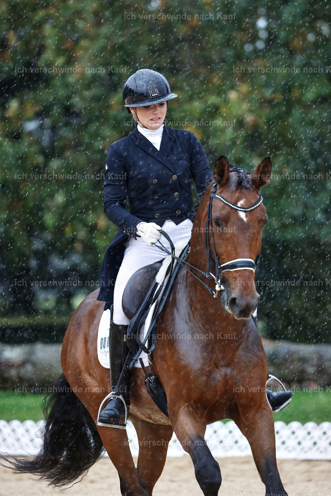 8_1-001-Klasse S_  -StoibPH-3975 | working equitationturnier fotograf videograf stoibphotography marixx film working equitation deutschland reitsport turnierfotografie eventfotografie equestrian events