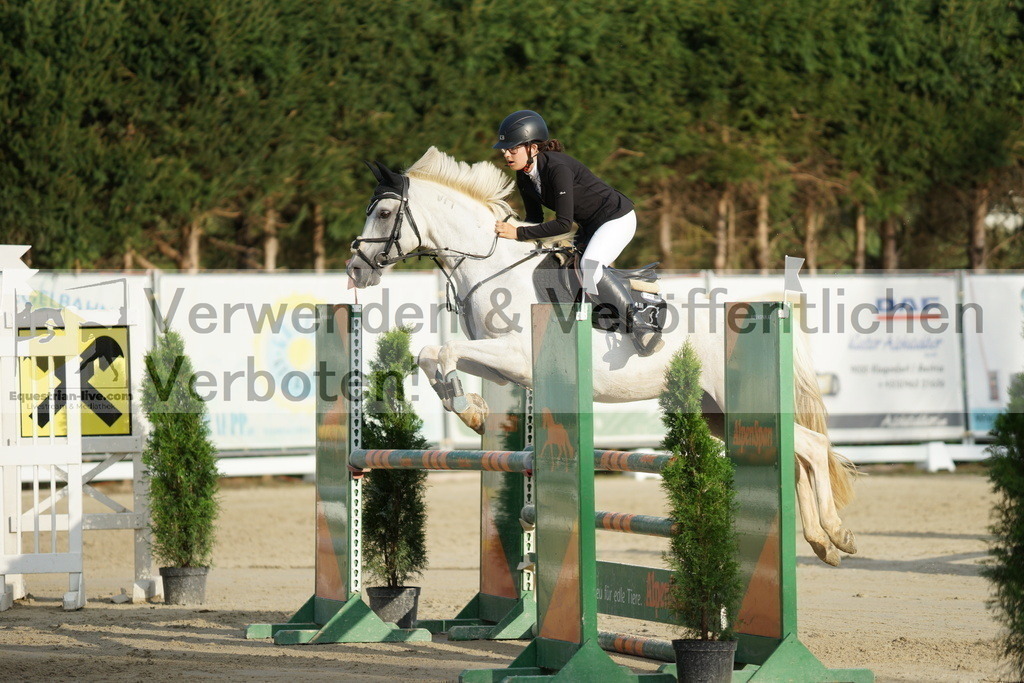 DSC01562 | equestrian-live-com