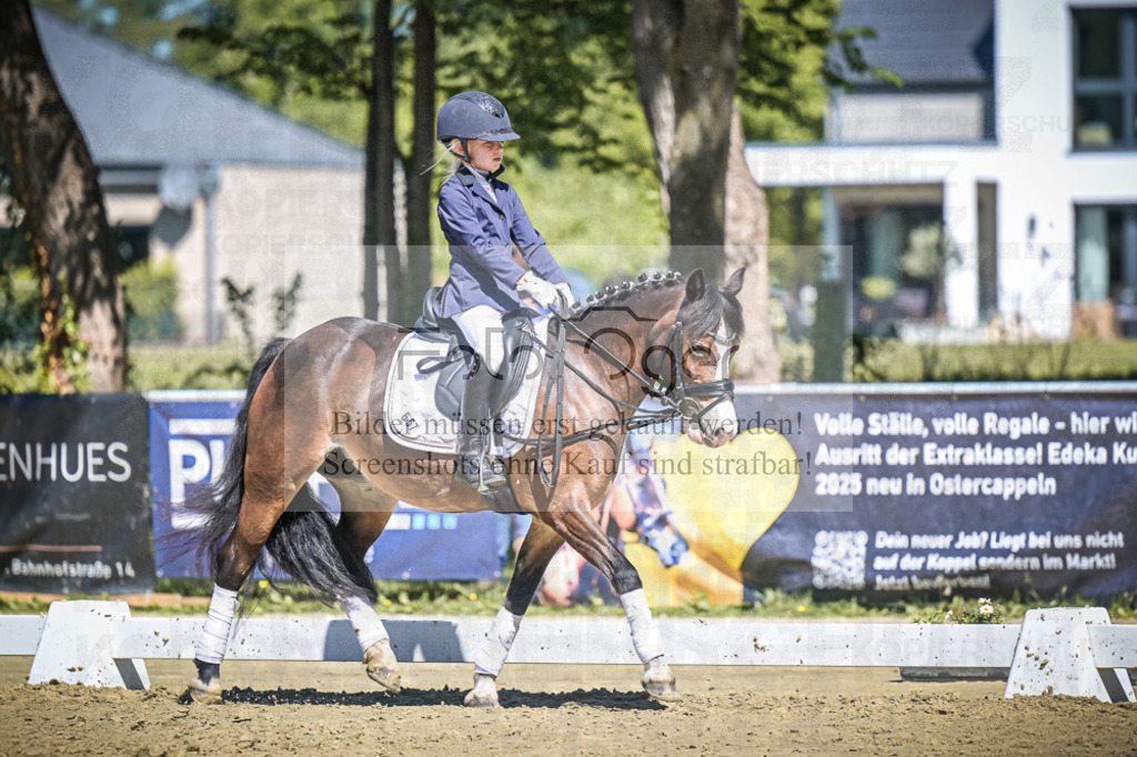 DOS_8435 | Entdecke hochwertige Reitturnierfotos von Foto Oger. Professionell, emotional und authentisch – jetzt Lieblingsmomente im Shop bestellen.Deutschlandweite Turnierfotografie. - Realisiert mit Pictrs.com