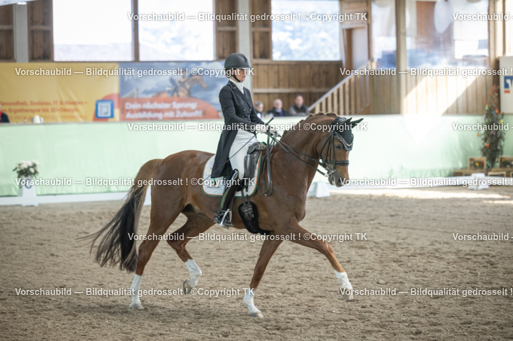 _D5A0052 | Emotionale Pferde- & People-Fotografie rund um Heidelberg, Leimen & Umgebung. Natürliche Fotos von Pferd, Mensch & Familie. Jetzt Termin sichern!