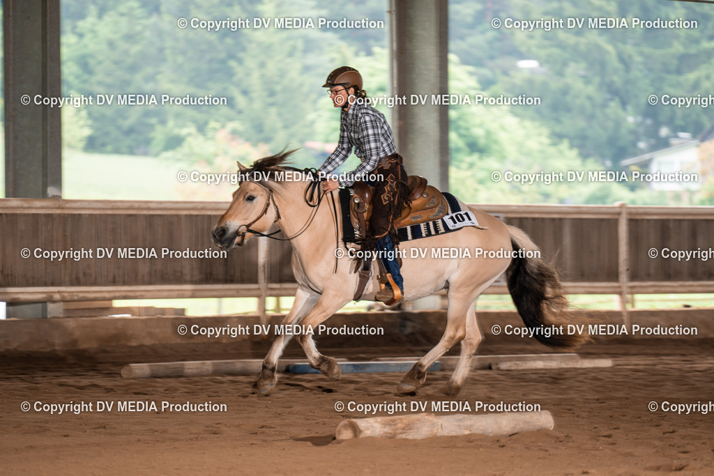 Erbach Tag 2-554 | dv-media-shop - Realisiert mit Pictrs.com