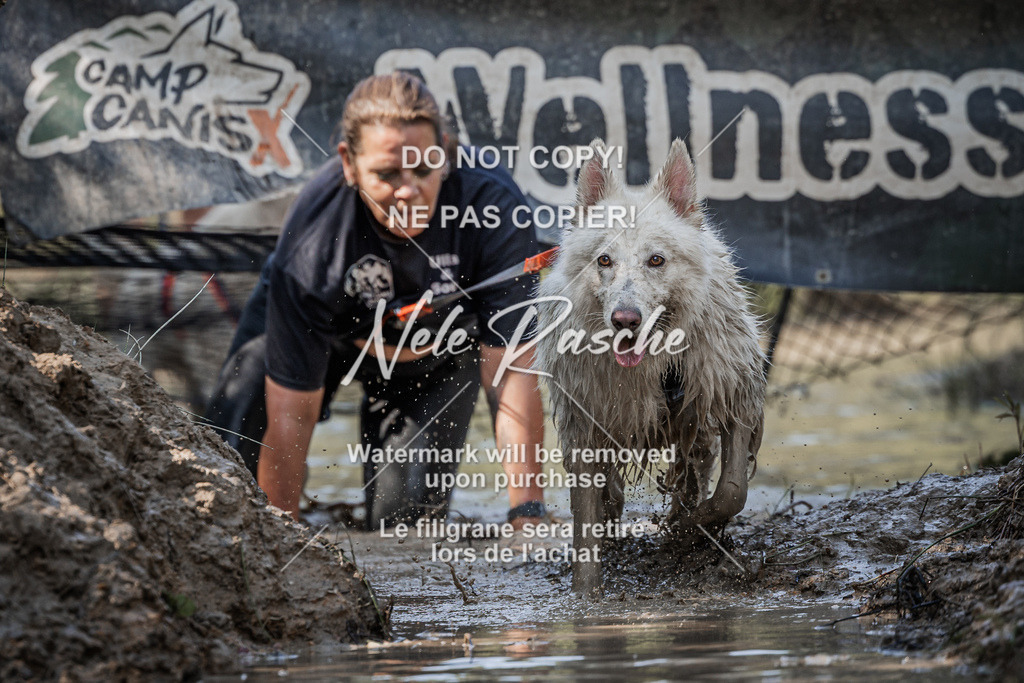 nelerasche_Hoope2026_So1600-1630_377 | nelerasche