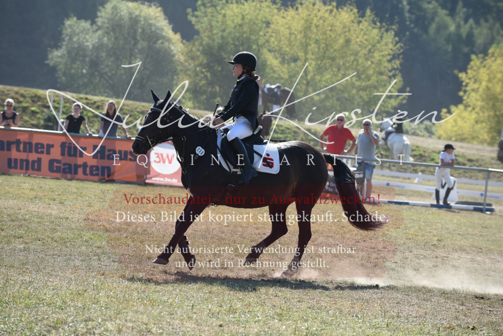 DSC_6106 | Pferde- und Turnierfotografie in Westsachsen. Pferdeportraits, Auftragszeichnungen und intuitive Kunst.