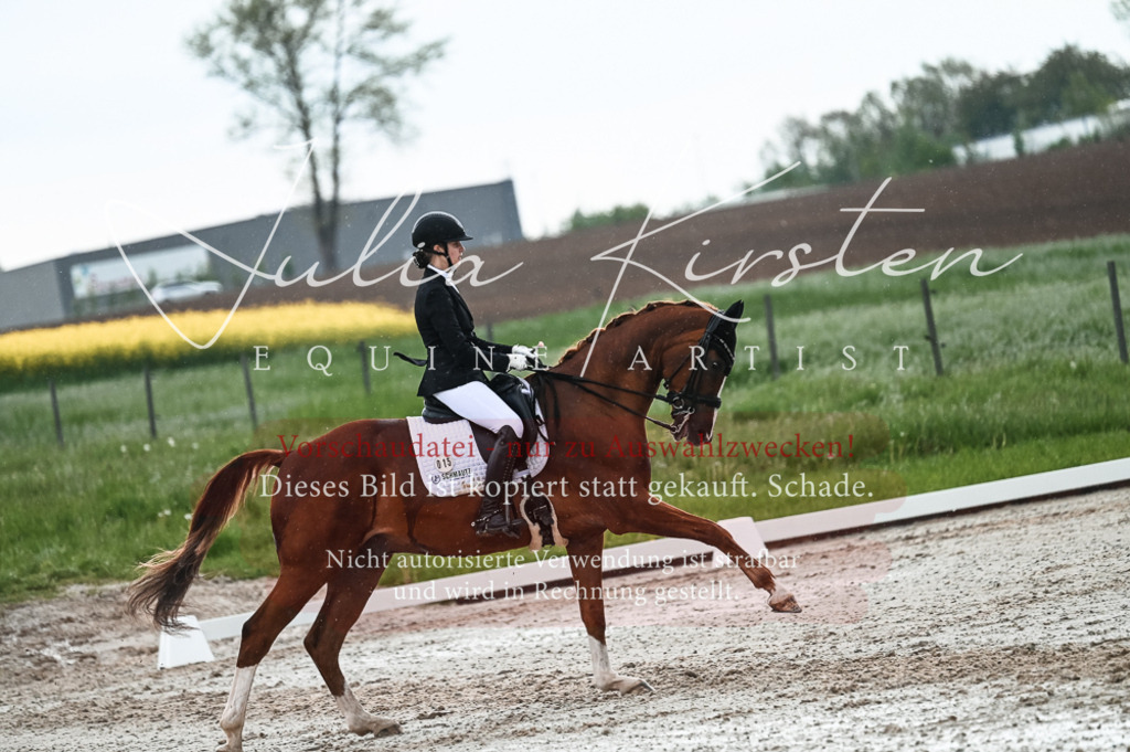 DSC_4303 | Pferde- und Turnierfotografie in Westsachsen. Pferdeportraits, Auftragszeichnungen und intuitive Kunst.