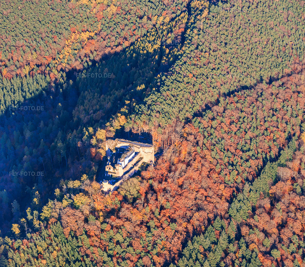 Luftbild: Burgruine Neuscharfeneck im herbstlichen Wald in Flemlingen im Bundesland Rheinland-Pfalz in Deutschland. Foto: IMG_151062.jpg vom 05.11.2025 durch Werner Riehm/FLY-FOTO.de