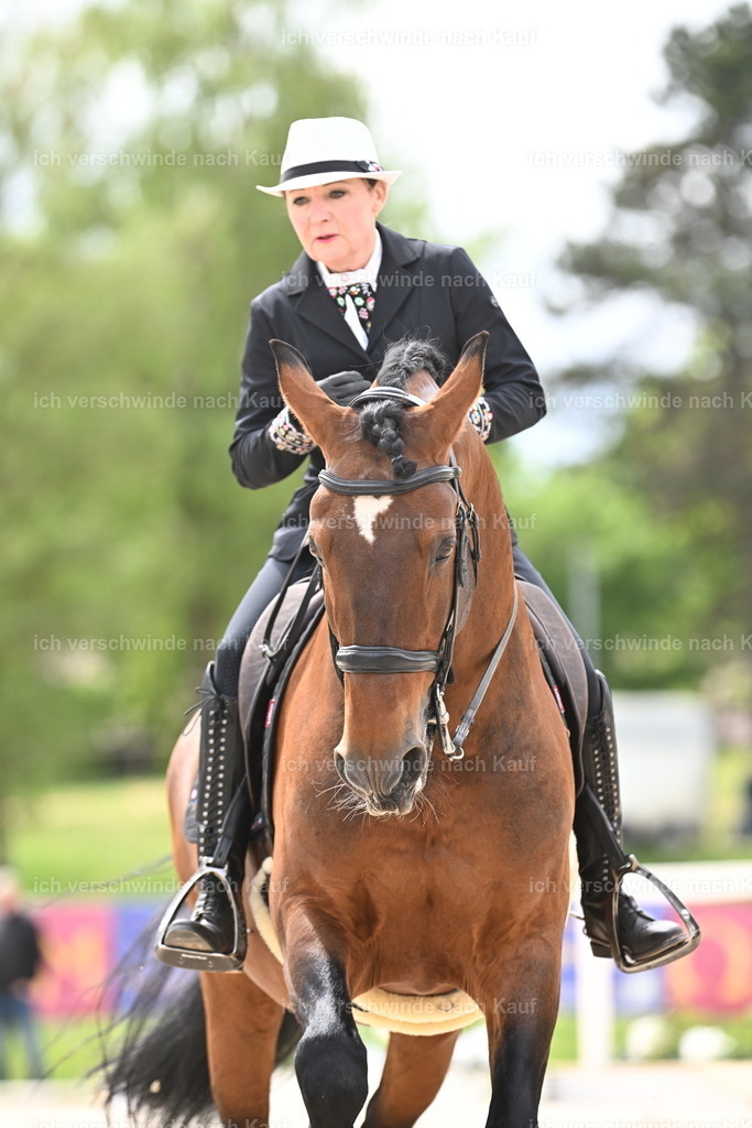 PI26_ST_Sara_Landvogt226_2889.JPG | working equitationturnier fotograf videograf stoibphotography marixx film working equitation deutschland reitsport turnierfotografie eventfotografie equestrian events