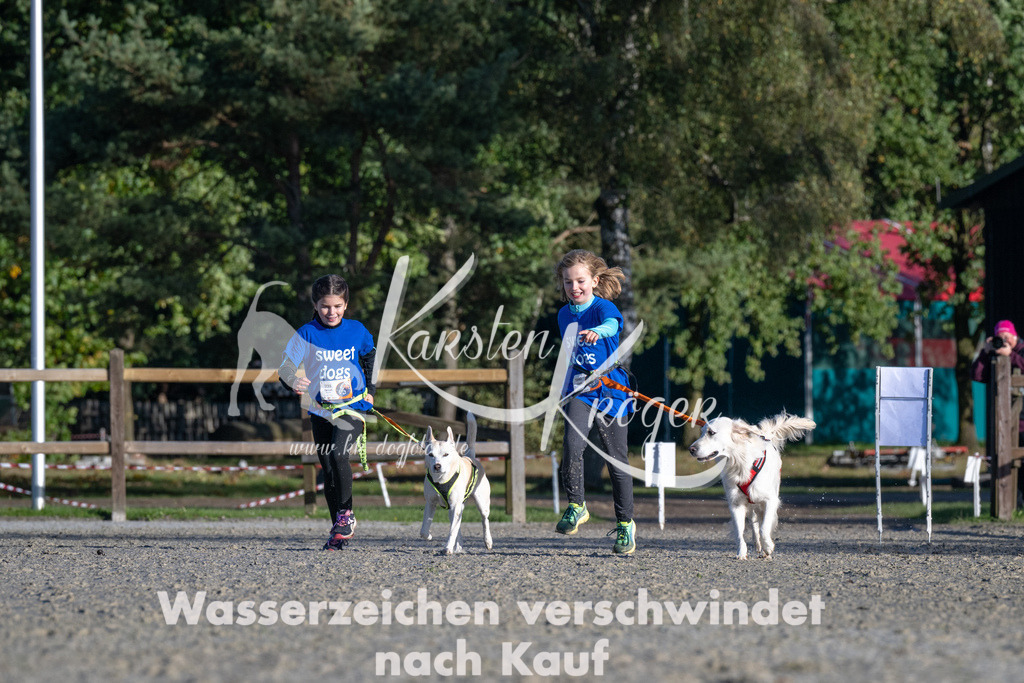 1021-_ZZ90909 | kk-dogfotos