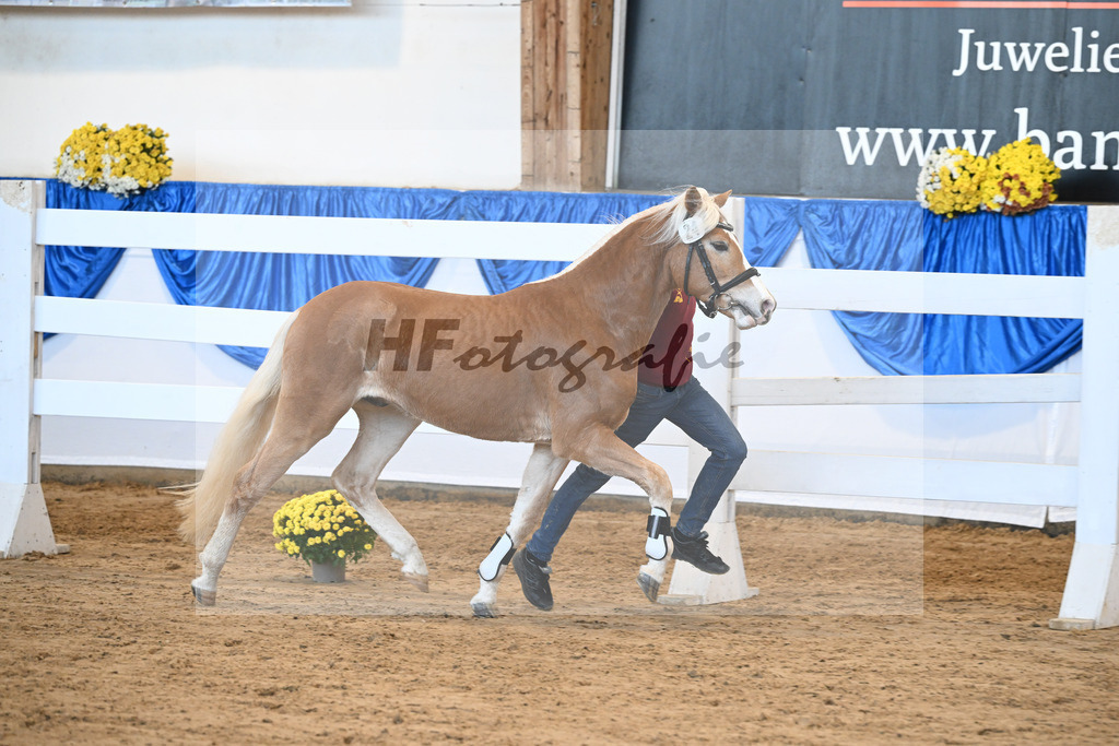 Kat-Nr. 24 nn v. Walkman M_Hartmann_48250480 | hf-fotografie - Realisiert mit Pictrs.com