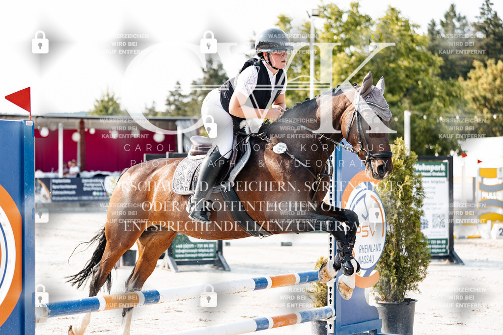 CK902877 | Turnierfotografie Pferdefotografie Trier Rheinland-Pfalz Pferdesport Reitsport Tierfotografie Sportfotografie Pferdevideo Pferdevideografie Equestrianvideography equestrianphotography  - Realisiert mit Pictrs.com