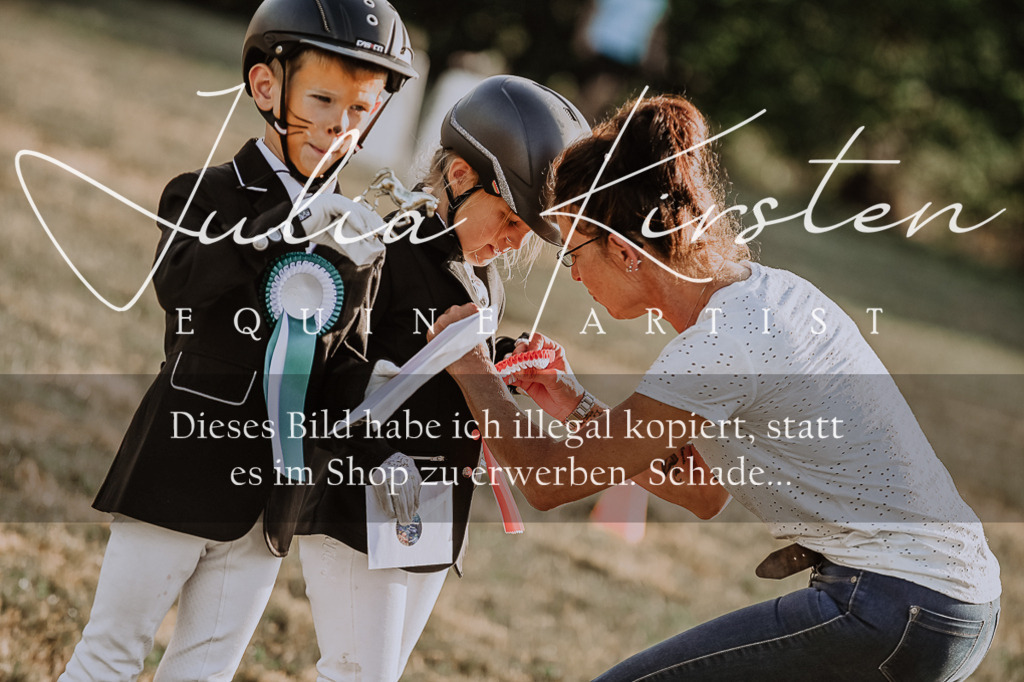 DSC_0250 | Pferde- und Turnierfotografie in Westsachsen. Pferdeportraits, Auftragszeichnungen und intuitive Kunst.