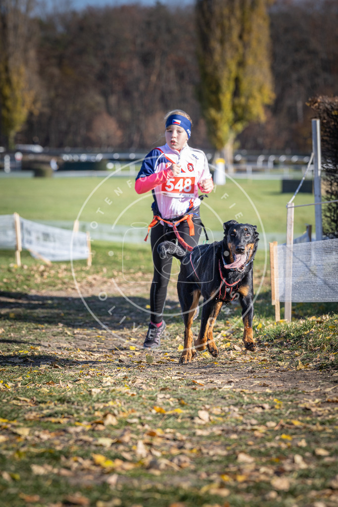 CaniXpix_DV3A8475 | Hundefotografie, Tierfotograf, Pfotenfotografie, Fotoshooting Hund, Hunde Portrait, Hundesport, Hundeportraits, Heideshooting, Hunde, Sportfotograf, Hundefotograf, Turnierhundsport, THS,  - Realisiert mit Pictrs.com