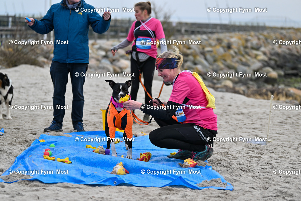 DSC_1758 | Hallo und herzlich Willkommen auf meiner Shop-Seite Fynn Most.

Ich wünsche Dir viel Spaß beim stöbern durch die Bilder, wenn Du Fragen hast oder Bilder vermisst, kannst du mir gerne eine Nachricht schreiben. - Realisiert mit Pictrs.com