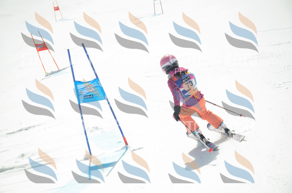 _ELE5465 | holidayphoto