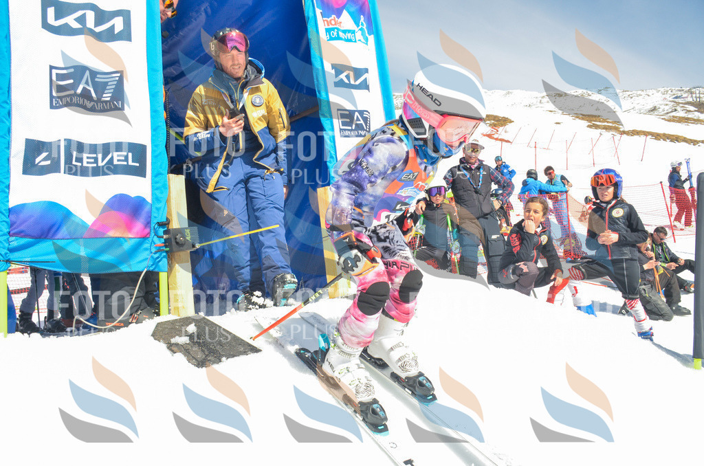 _ELE6238 | holidayphoto