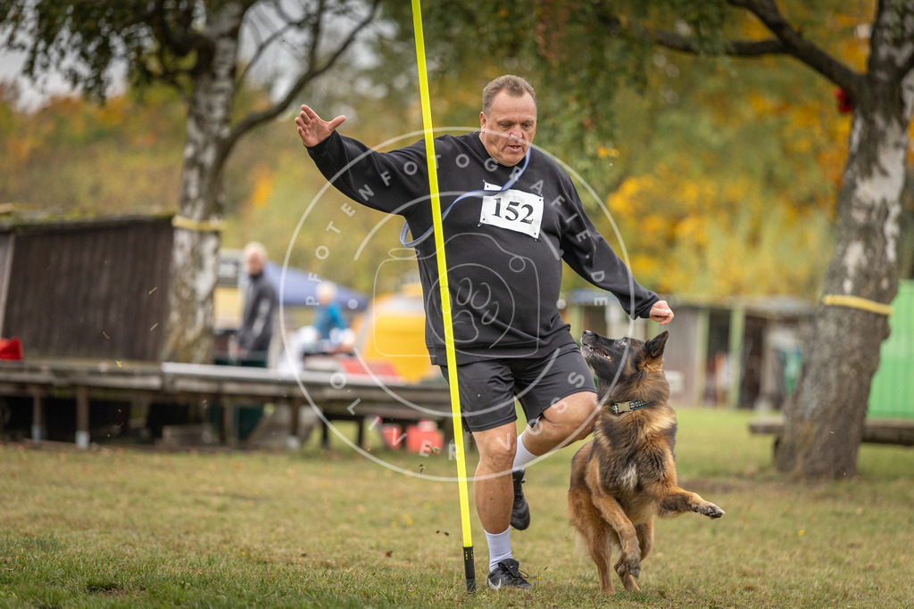 Pfotenfotografie_DV3A6174 | Hundefotografie, Tierfotograf, Pfotenfotografie, Fotoshooting Hund, Hunde Portrait, Hundesport, Hundeportraits, Heideshooting, Hunde, Sportfotograf, Hundefotograf, Turnierhundsport, THS,  - Realisiert mit Pictrs.com