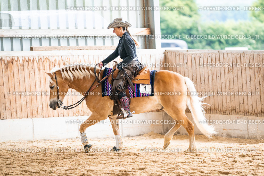 DSC00977 | Pferdegrafie