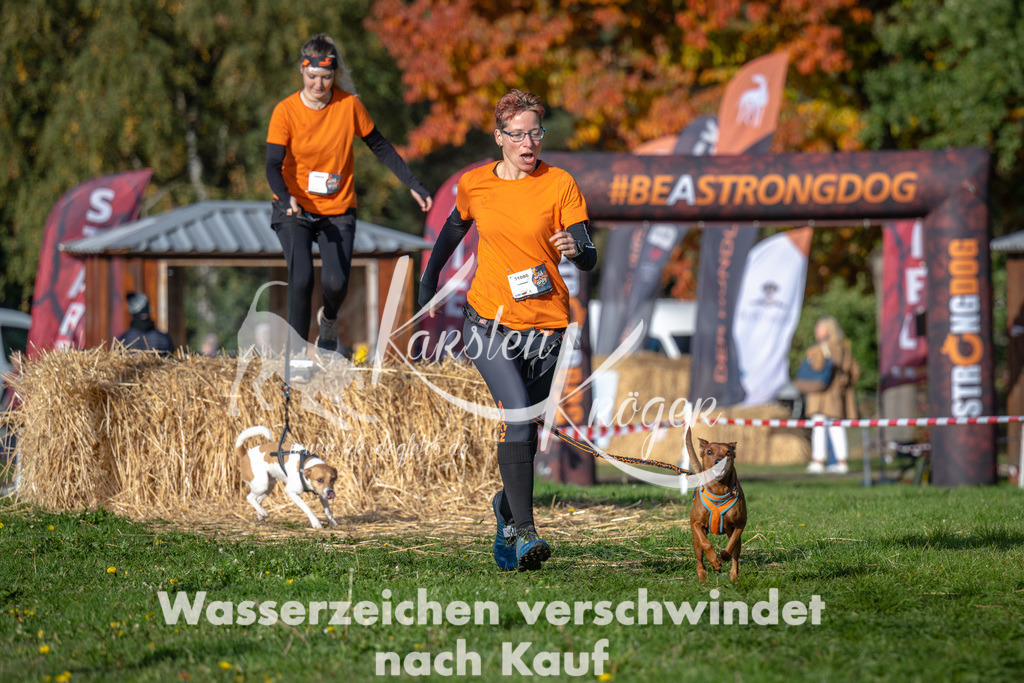 1006_ZZ92234 | kk-dogfotos