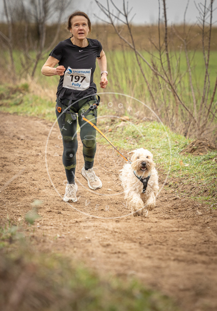 DV3A2365 | Hundefotografie, Tierfotograf, Pfotenfotografie, Fotoshooting Hund, Hunde Portrait, Hundesport, Hundeportraits, Heideshooting, Hunde, Sportfotograf, Hundefotograf, Turnierhundsport, THS,  - Realisiert mit Pictrs.com