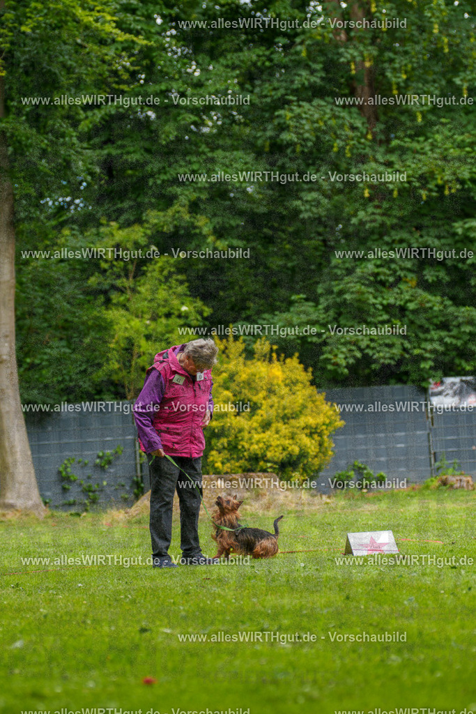 @allesWIRTHgut_Tierfotografie - www.allesWIRTHgut.de - 131011-7R509887 | Professionelle Tierfotografie in Mönchengladbach von Daniel Wirth (allesWIRTHgut). Liebevolle & natürliche Bilder von Hunden & Katzen für unvergessliche Erinnerungen.