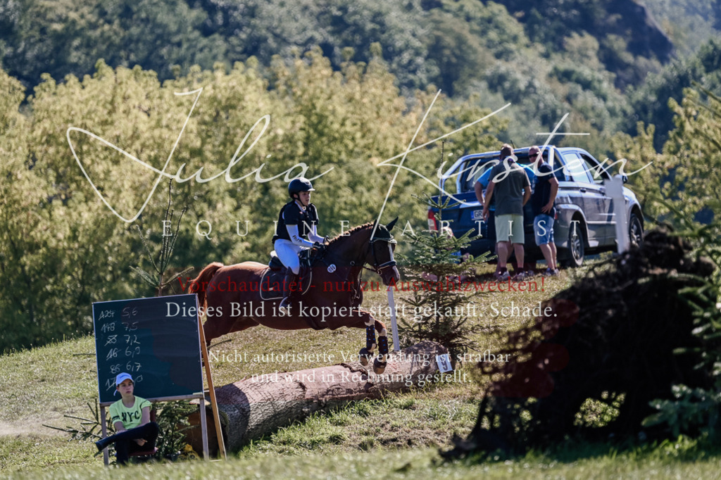 DSC_3143 | Pferde- und Turnierfotografie in Westsachsen. Pferdeportraits, Auftragszeichnungen und intuitive Kunst.